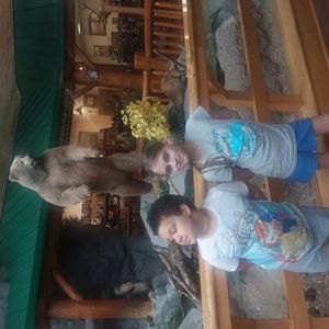 Meet your Posher, Jackie